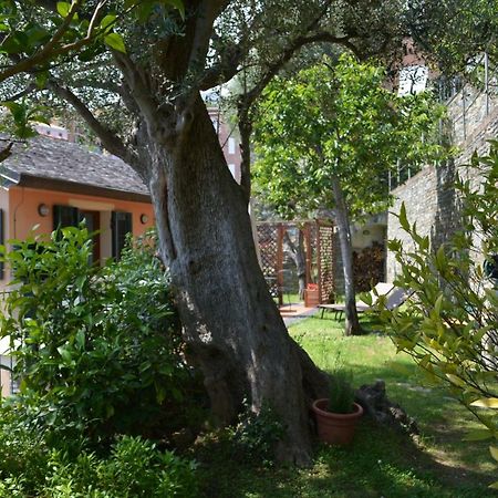 Ca Da Munta Bed And Breakfast Аренцано Экстерьер фото